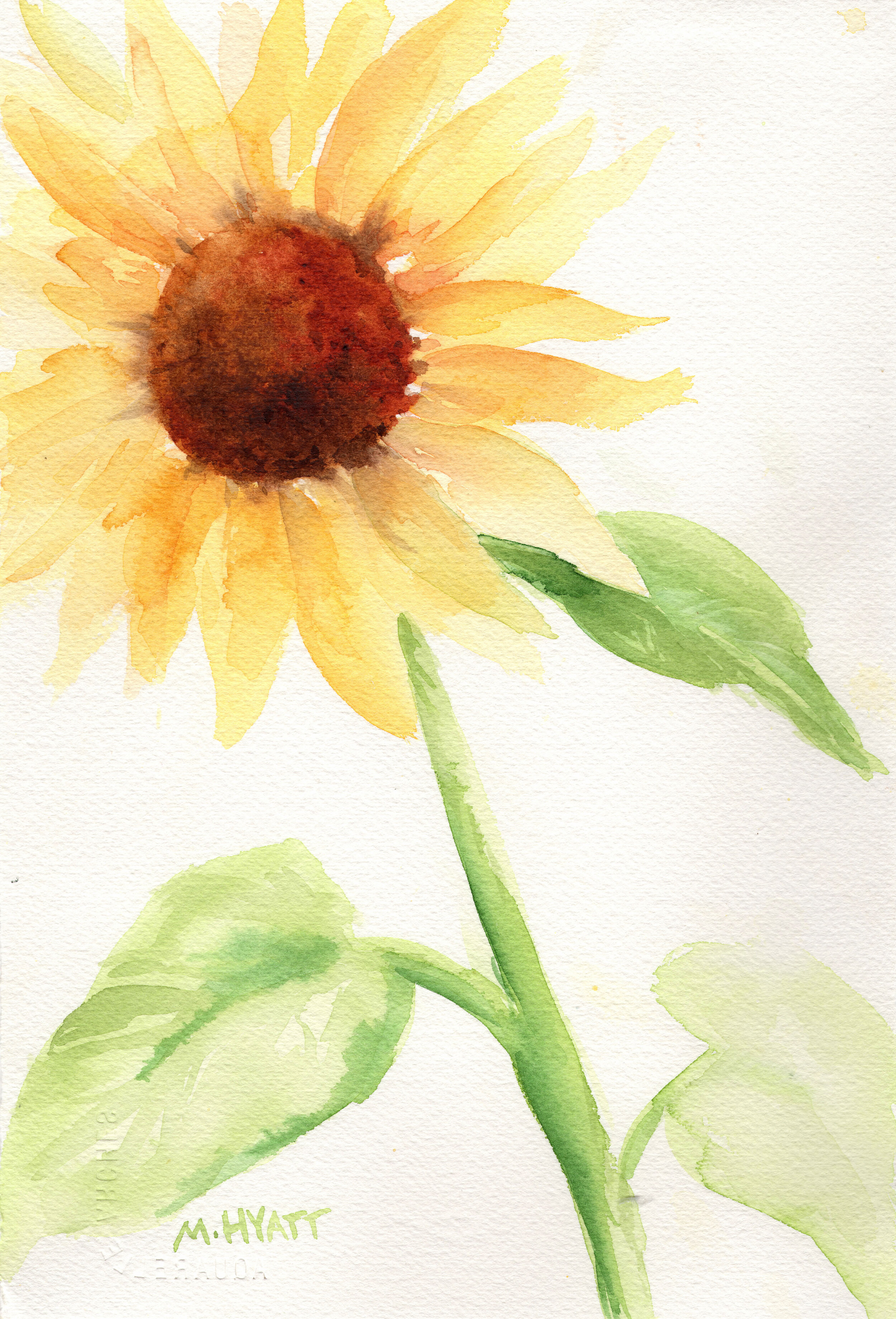 Sunflower Watercolor Class Art Kit 10 Cutchogue New Suffolk